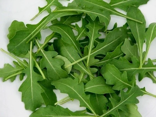 Seminte de Rucola 5g Prima Sementi, Plante Aromatice pentru Gradina si Balcon [3]