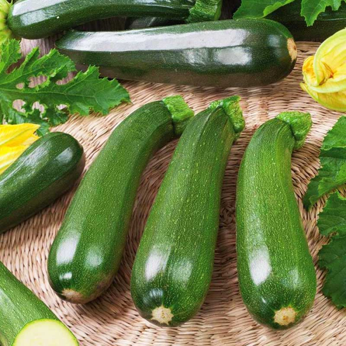 Seminte Dovlecel Zucchini Black Beauty 3g Agrosem - Dovlecel Verde Inchis [4]