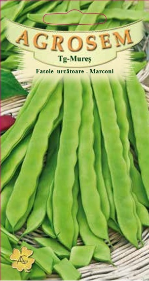 Seminte Fasole Urcatoare Verde Marconi 100g Agrosem - Ambalaj Economic Pastai Gigant [2]