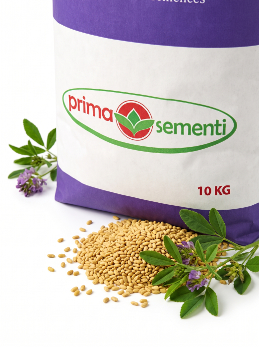 Seminte Lucerna Algonquin Drajata C1 10kg - Soi Rezistent la Ger si Seceta cu Inalta Valoare Proteica [3]