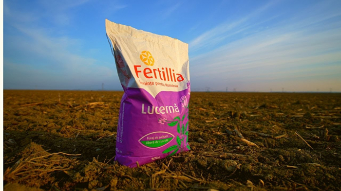 Seminte Lucernă Letizia drajată - sac 10 kg [2]