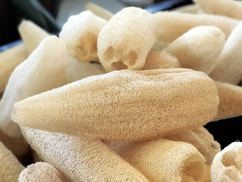 Seminte Lufa 1g Kertimag - Dovleac pentru Burete Vegetal Natural [3]