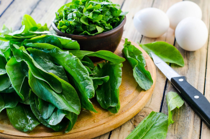 Seminte Macris Palaggi, Plic 3g, Planta Perena Rezistenta, Kertimag [3]