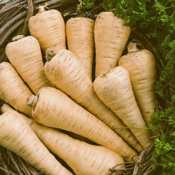 Seminte Pastarnac Soi Semitardiv Guernesay 70g Agrosem - Radacini Lungi si Aromate [2]