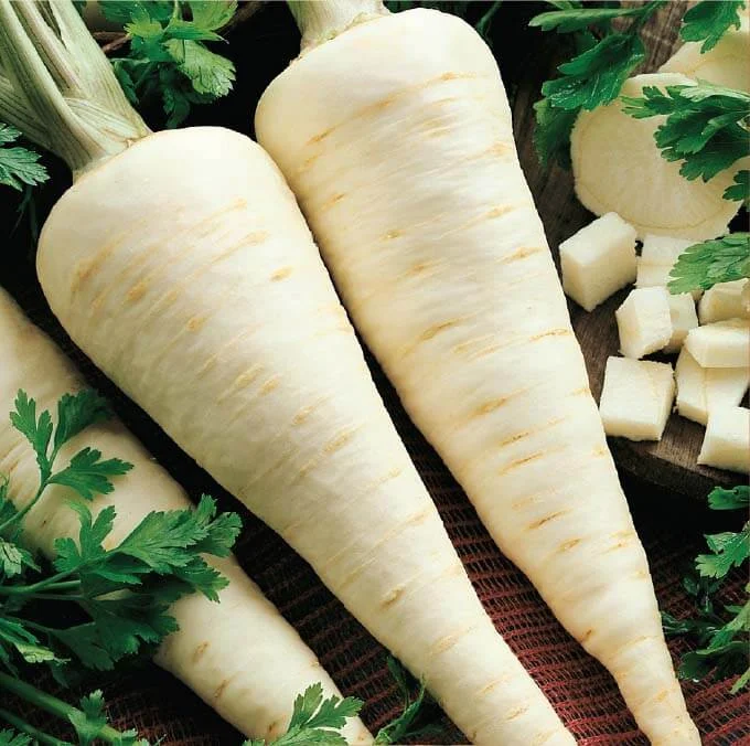 Seminte Patrunjel de radacina Alba 20g Agrosem - Radacini Albe si Aromate [2]