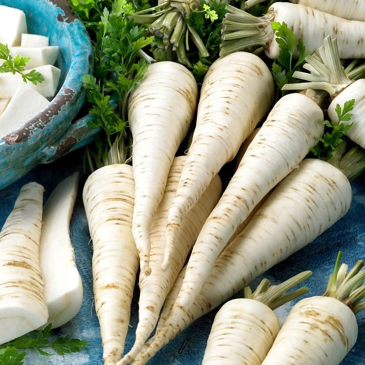 Seminte Patrunjel de Radacina Berliner 5g Prima Sementi - Productiv si Aromat [2]