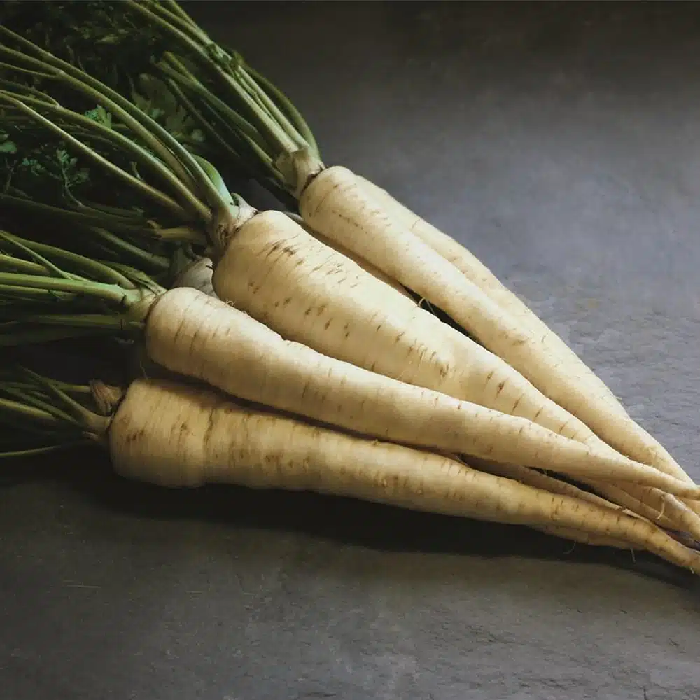 Seminte Patrunjel Radacina Bardowicker 5g Agrosem - Soi Productiv Radacini Lungi [2]