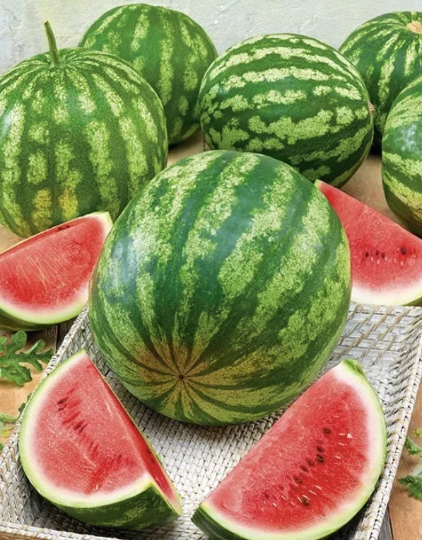 Seminte Pepene Verde Crimson Giant F1 Hybrid 3g Prima Sementi - Dulce si Urias [4]