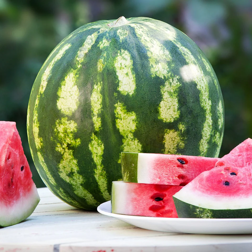 Seminte Pepene verde Crimson Sweet 2g Agrosem - Cel mai Dulce Soi Traditional [4]