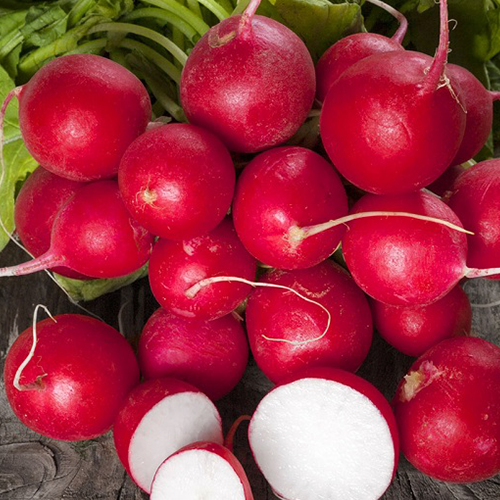 Seminte Ridichi de luna Cherry Belle 5g Agrosem - Ridichi Rosii Clasice si Crocante [2]