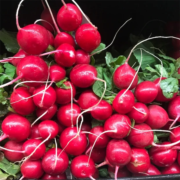 Seminte Ridichi de Luna Ester 3g Kertimag - Soi Timpuriu Rezistent la Crapare [3]