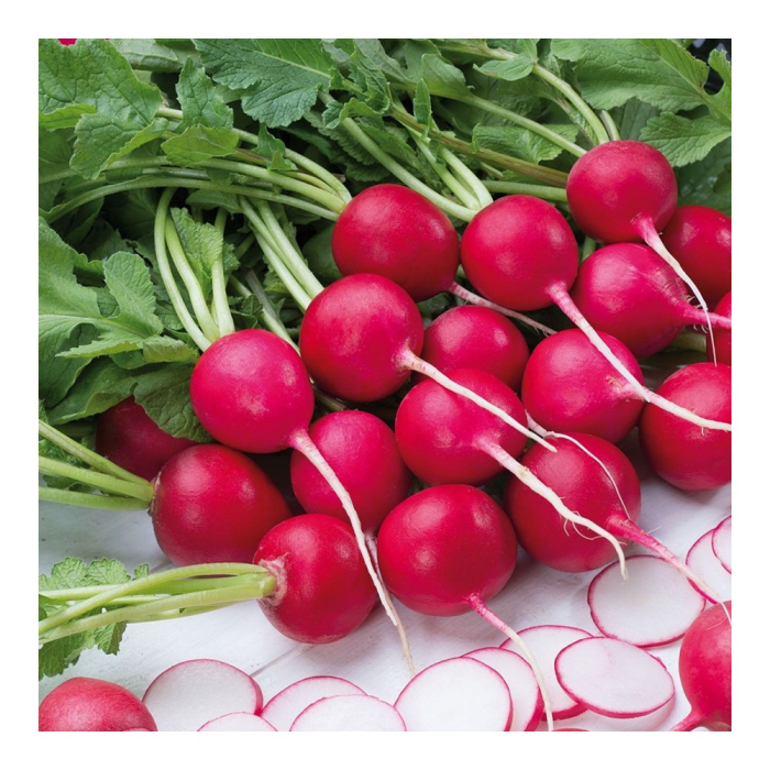 Seminte Ridichi de Luna Riesenbutter 3g Kertimag - Ridichi Gigant care nu Devin Lemnoase [2]