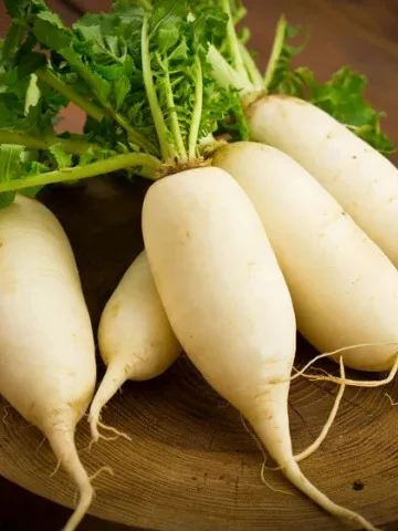 Seminte Ridichi de Vara Munchener Bier 3g Kertimag - Delicioase alaturi de Bere [2]