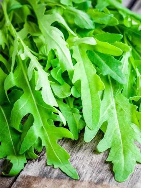 Seminte Rucola Prima Sementi 7g - Gust Intens si Crestere Rapida [4]