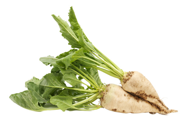 Seminte Sfecla de Zahar 50g Kertimag - Continut Ridicat de Zaharoza si Energie [2]