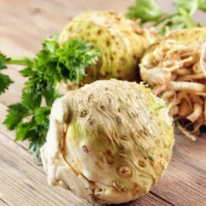 Seminte Telina de Radacina Gigante di Praga 1.5g Agrosem - Soi Productiv [3]