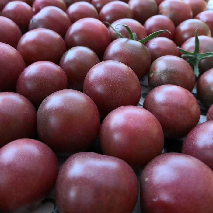 Seminte Tomate Black Cherry 0.2g Agrosem - Rosii Cherry Negre Dulci si Aromate [4]