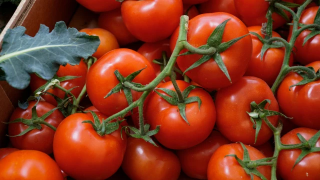 Seminte Tomate Buzau 22, 0.2g Agrosem - Soi Romanesc Productiv si Rezistent [3]