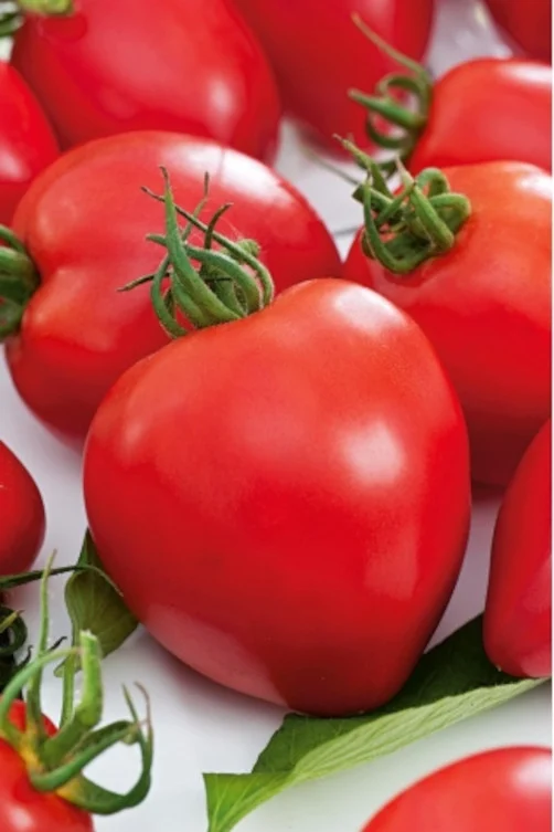 Seminte Tomate Inima de bou 0.2g Agrosem - Rosii Traditionale Mari si Carnoase [2]