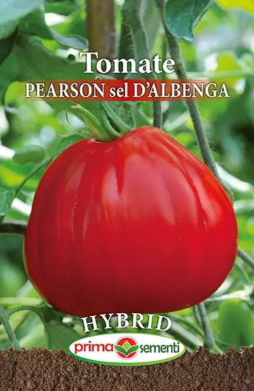 Tomate Pearson sel D’Albenga F1 [1]