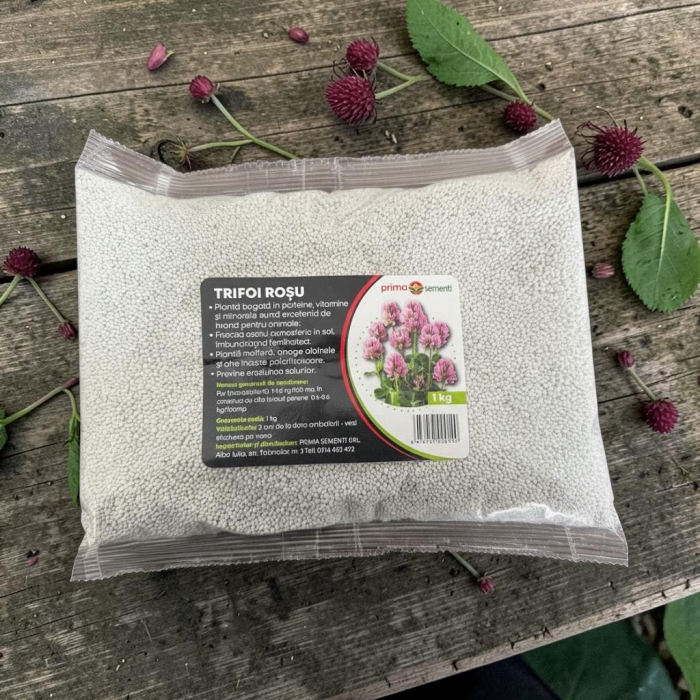 Seminte Trifoi Rosu Rozeta, Punga 1 kg, Prima Sementi, Productivitate Ridicata si Rezistenta la Ger [3]