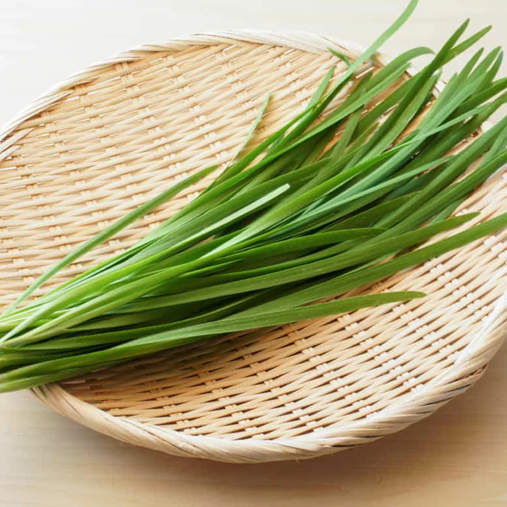 Seminte Usturoi de Frunze 1g Kertimag - Usturoi Chinezesc Garlic Chives [3]