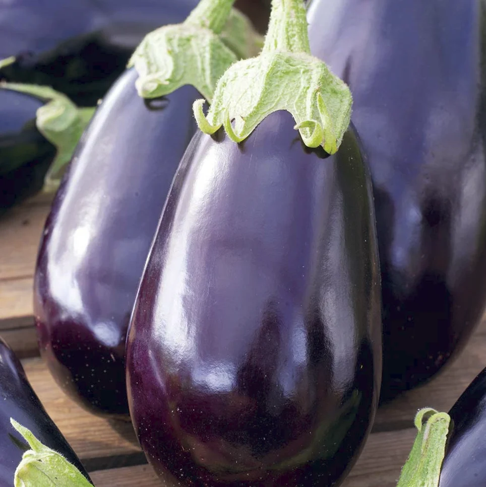 Seminte Vinete Black Beauty 2g PrimaSementi - Soi Clasic Productiv cu Fructe Mari si Lucioase [2]