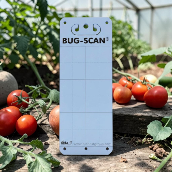 Set 20 Capcane Albastre Adezive Klastorf, 25 x 10 cm, cu Feromoni, Special pentru Tripsi [2]