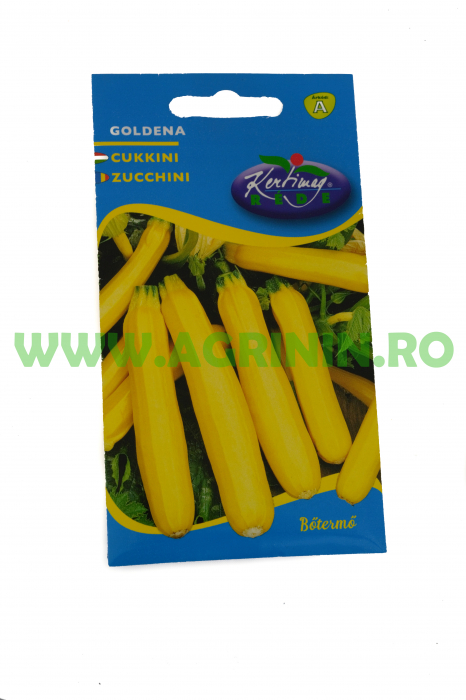 Zucchini Goldena [1]