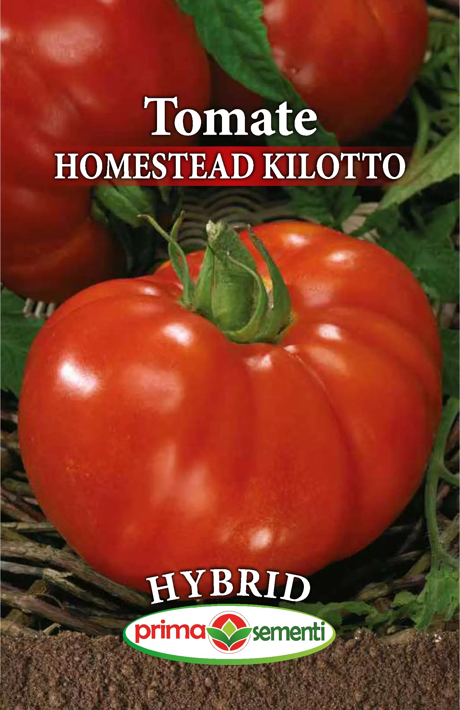 Tomate Homestead Kilotto F1 [1]