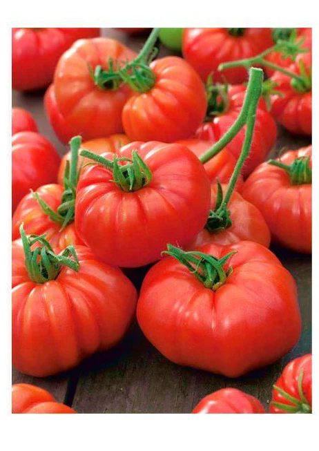 Tomate Marmande 1/2 gr [2]