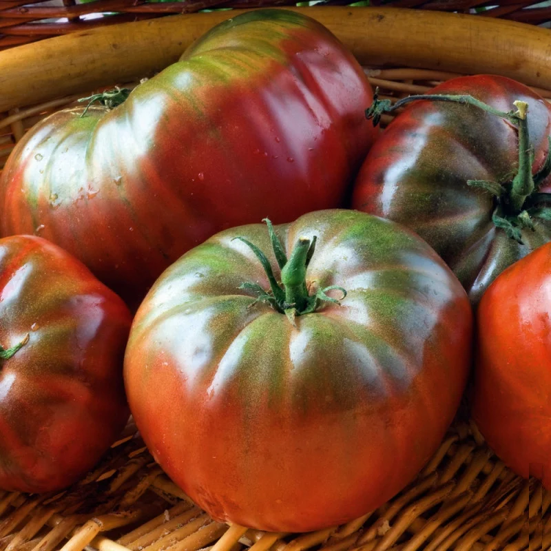 Tomate Nero di Crimea 0.4 g [3]