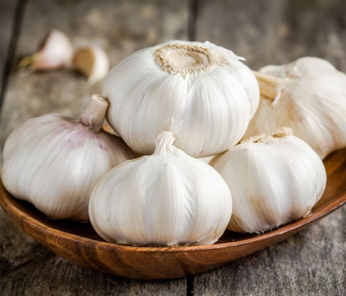 Usturoi de Plantat Soi Romanesc Madaidor - 5 Bulbi Mari - Rezistent si Aromat Prima Sementi [2]