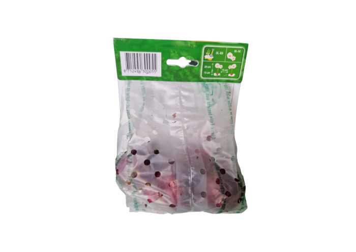 Zambila Alba - Hyacinthus Carnegie [2]