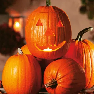 Seminte Dovleac Ghostrider 2g Kertimag - Dovleacul Perfect pentru Halloween [2]