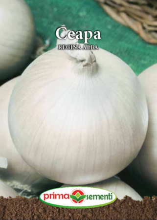Seminte ceapa - Ceapa Regina Alba 1.5g