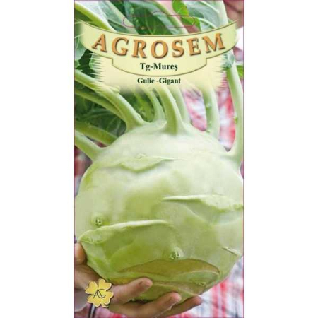 Seminte de Gulii - Seminte Gulie Gigant 2g Agrosem - Soi Productiv de Toamna