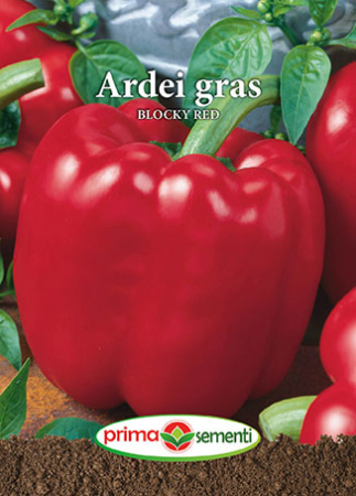 Seminte legume - Ardei gras Blocky Red 0.7g