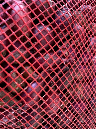 PRECOMANDA! Arpagic rosu Karmen 10 kg – ceapa rosie dulce și aromata, calibru 8/21 mm [1]