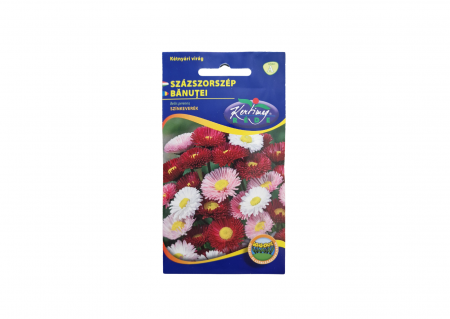 Seminte - Banutei amestec de culori / Bellis perennis