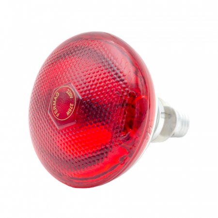 Produse Zootehnie - Bec infrarosu - 275 W