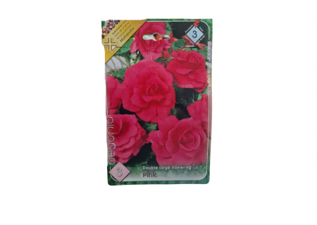 Seminte - Begonia Double Large Pink CAT 3