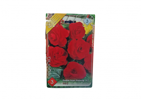 Seminte - Begonia Double Large Red CAT 3