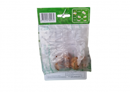Branduse mix de culori/ Crocus Mix Botanical [1]