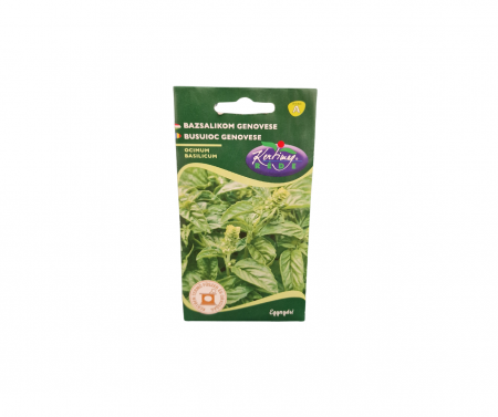 Seminte plante aromatice - Busuioc Genovese 2g