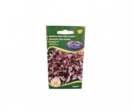 Seminte plante aromatice - Busuioc Red Rubin