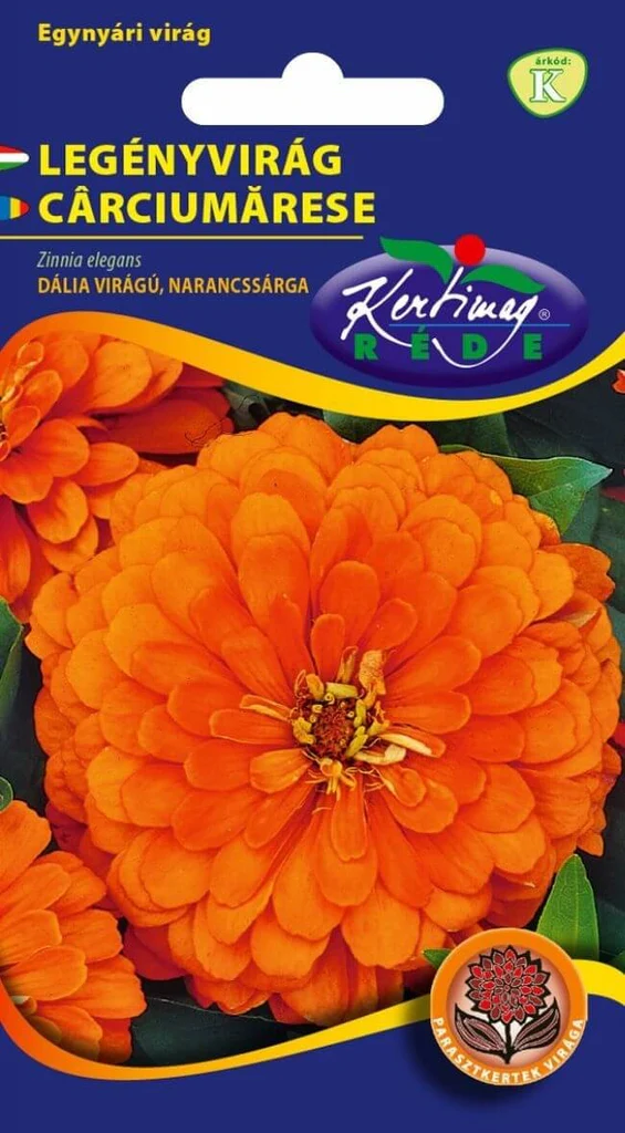 Seminte - Carciumarese Portocalii – Culoare Calda, Decor de Impact