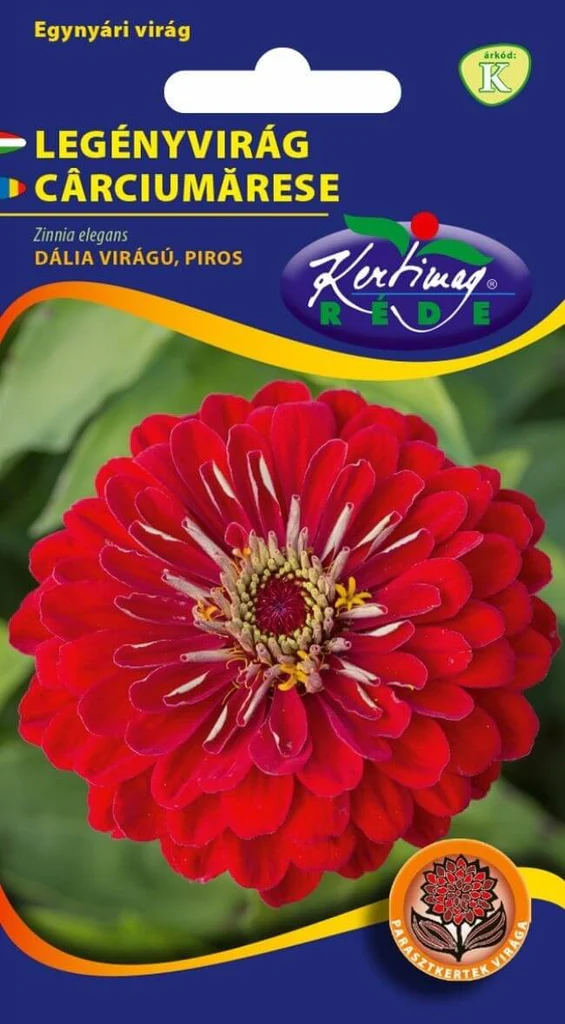 Seminte flori - Cârciumărese Roșii