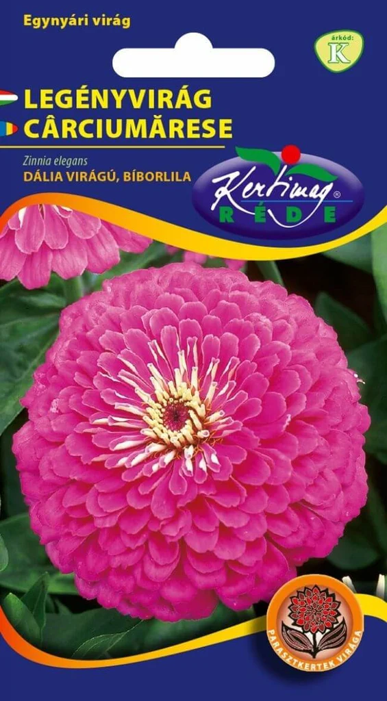 Seminte flori - Cârciumărese Violet