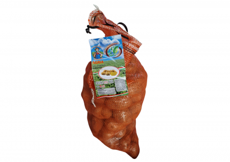 Seminte - Cartofi de sămânță Agria - Calibru 33/55 sac 10 kg